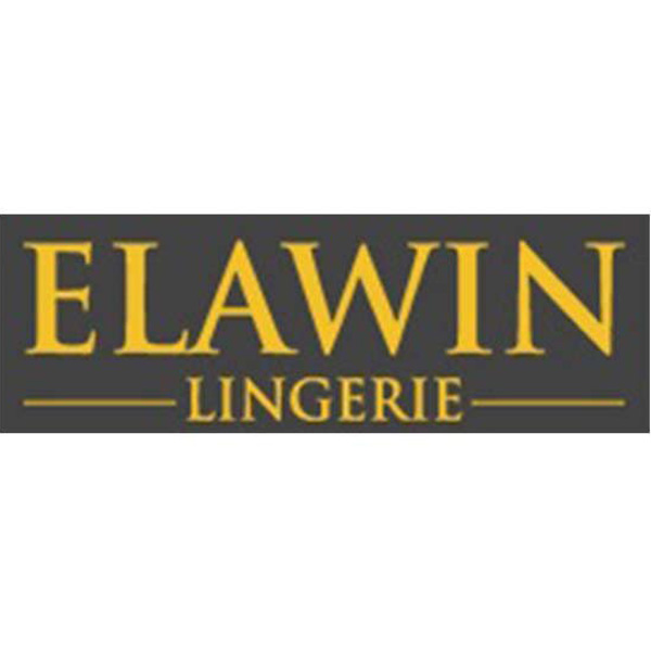 логотип Elawin