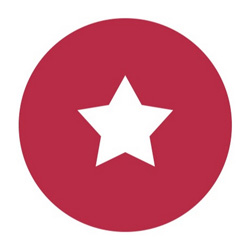логотип Play Star
