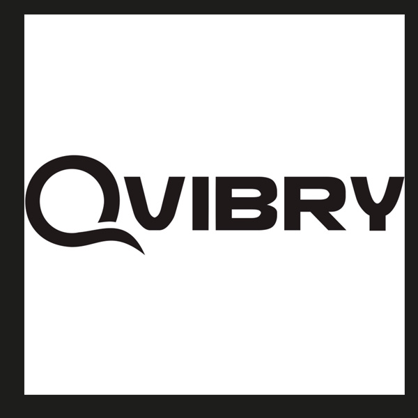логотип Qvibry